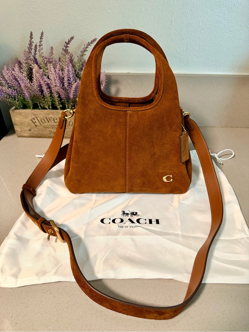 Coach Lana 23 in Suede Shoulder Bag ๐ค